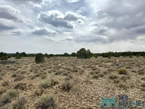 16 Five Gate Rd, Pinehill, NM 87357 photo 10