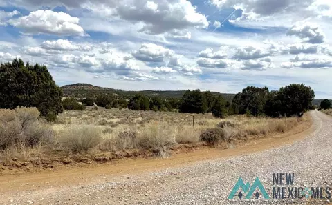 16 Five Gate Rd, Pinehill, NM 87357 photo 5