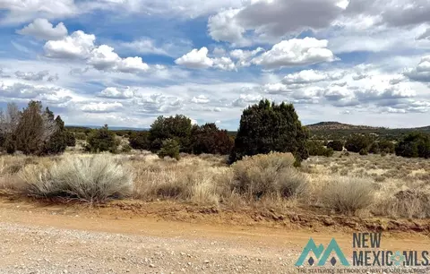 16 Five Gate Rd, Pinehill, NM 87357 photo 2