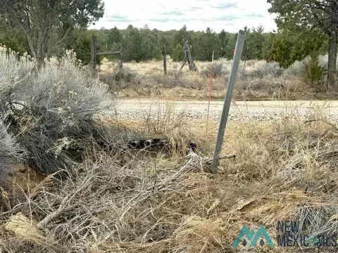 16 Five Gate Rd, Pinehill, NM 87357 photo 14