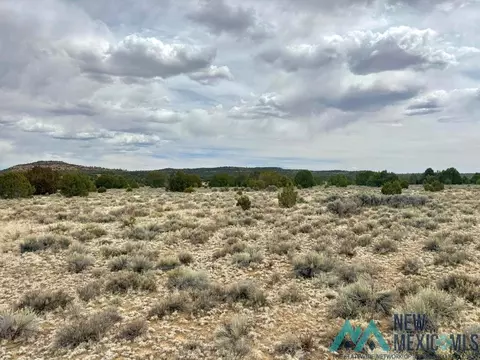 16 Five Gate Rd, Pinehill, NM 87357 photo 9