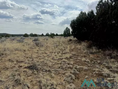 16 Five Gate Rd, Pinehill, NM 87357 photo 11