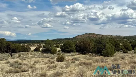 16 Five Gate Rd, Pinehill, NM 87357