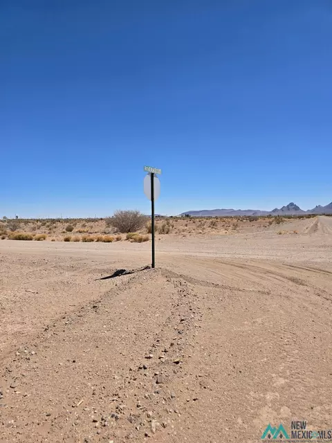 Rivera Road, Deming, NM 88030