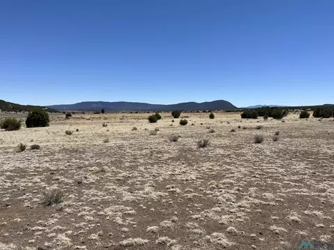 lot23 Lost Cabin Subdivision, Reserve, NM 87820