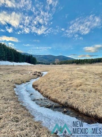 28289 Hwy 64, Eagle Nest, NM 87718