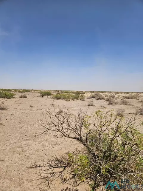 Nnn Vibroa Rd Se, Deming, NM 88030