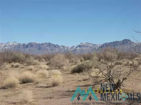 Frontier Ranchos Unit 3 Bk 6 Lts 4, Deming, NM 88030