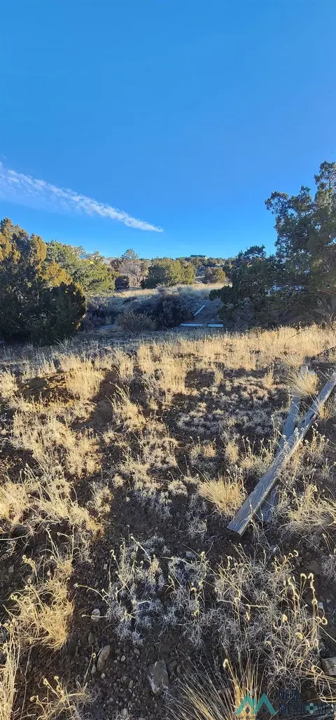 Torrivio Mesa, Gallup, NM 87301