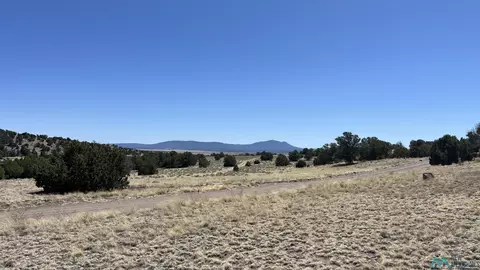 lot17 Golden Horseshoe Tr Rd, Quemado, NM 87829