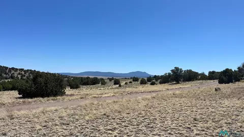 17 Golden Horseshoe Tr, Quemado, NM 87829