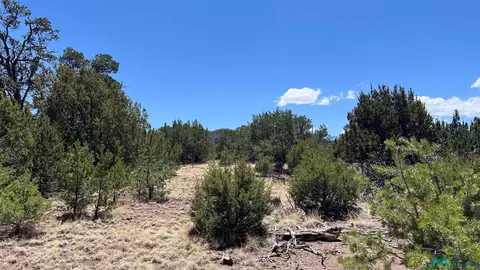 66 Wagon Trl, Datil, NM 87821 photo 3