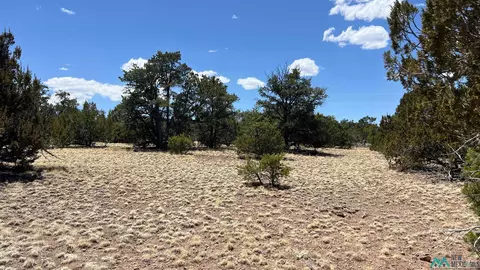 66 Wagon Trl, Datil, NM 87821 photo 9