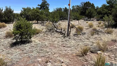66 Wagon Trl, Datil, NM 87821 photo 14