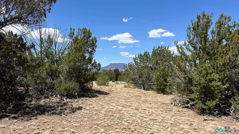66 Wagon Trl, Datil, NM 87821 photo 11