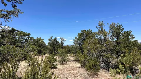 66 Wagon Trl, Datil, NM 87821 photo 5
