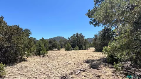 66 Wagon Trl, Datil, NM 87821 photo 4