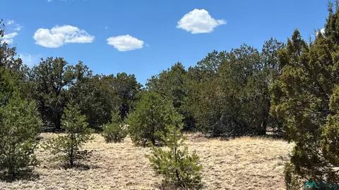 66 Wagon Trl, Datil, NM 87821 photo 8