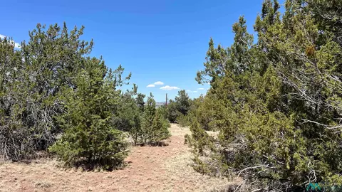 66 Wagon Trl, Datil, NM 87821 photo 12