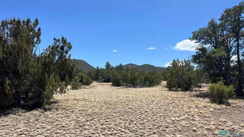 66 Wagon Trl, Datil, NM 87821 photo 10