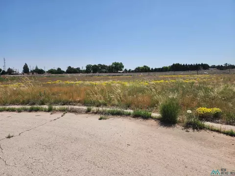 1819 Quail-wood Dr, Portales, NM 88130
