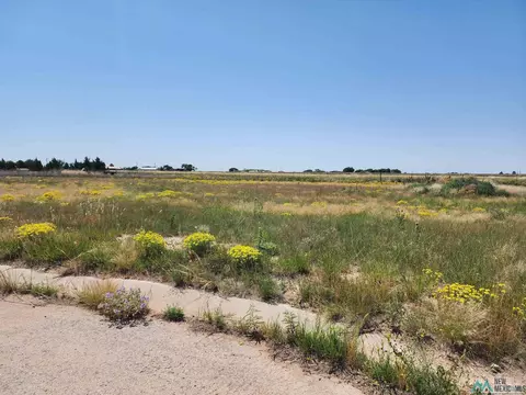 1821 Quail-wood Dr, Portales, NM 88130