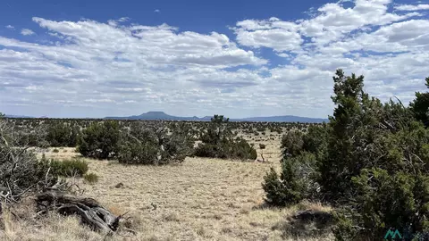 Warpath Rd Road, Quemado, NM 87829