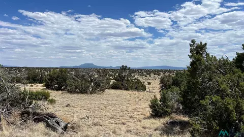 87 Warpath Rd, Quemado, NM 87829
