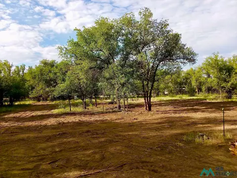 302 10th St, Springer, NM 87747