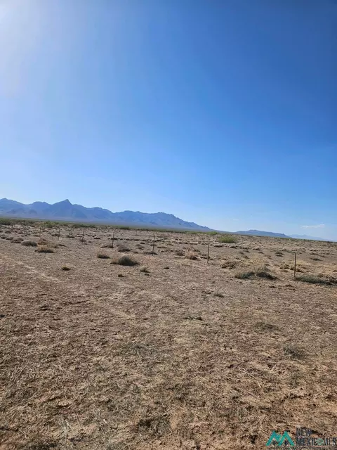 Pequeno Rd Ne, Deming, NM 88030