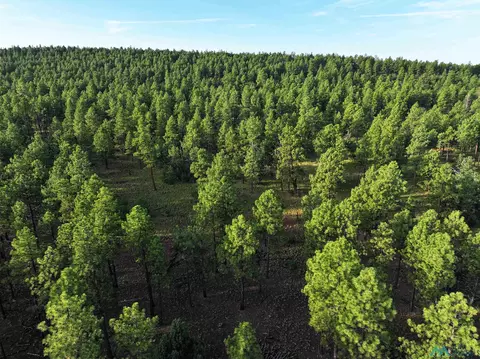 000 Forest Road 157, Bluewater, NM 87005