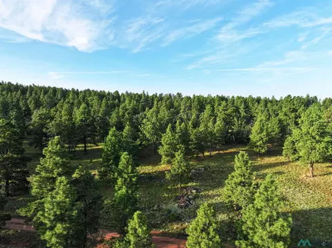 Forest Road 157, Bluewater, NM 87005