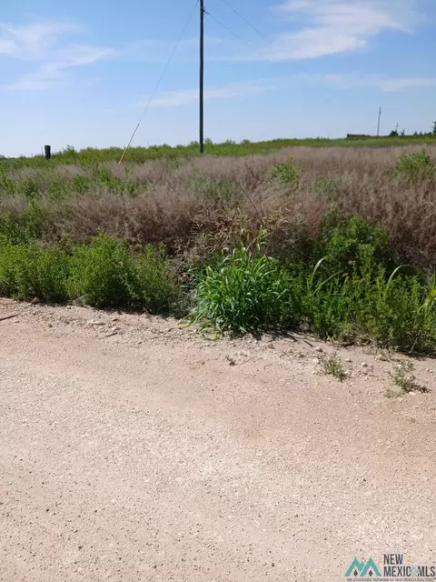 710 S Rru Rd, Portales, NM 88130