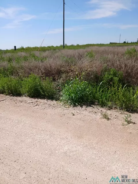 710 S Rru, Portales, NM 88130