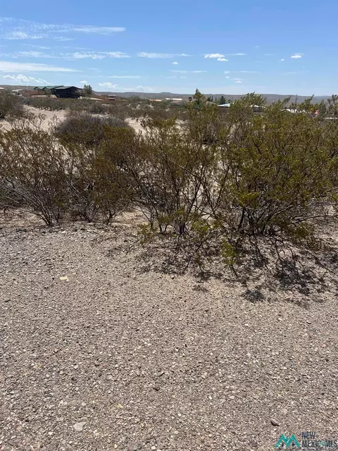 200 Springland, Elephant Butte, NM 87935