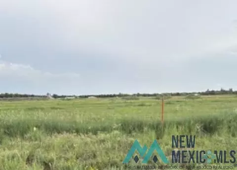 301 E Tumbleweed Rd, Dexter, NM 88230