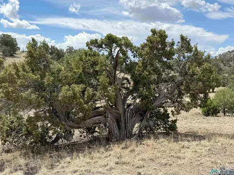 1336 S Pie Town Rd St, Datil, NM 87821 photo 26
