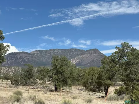 1336 S Pie Town Rd St, Datil, NM 87821 photo 19