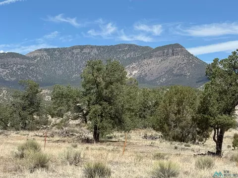 1336 S Pie Town Rd St, Datil, NM 87821 photo 18