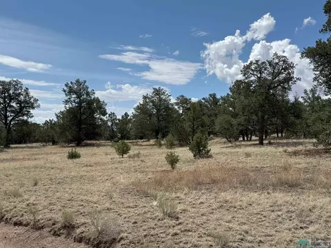 1336 S Pie Town Rd St, Datil, NM 87821 photo 25