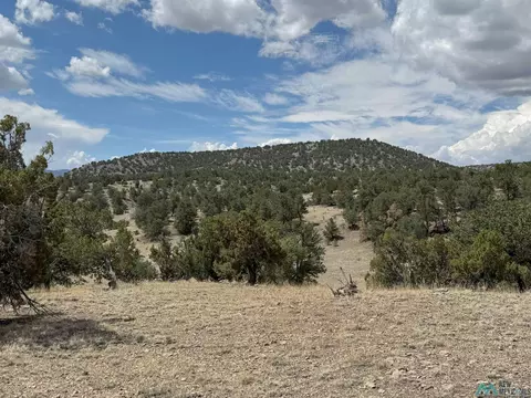 1336 S Pie Town Rd St, Datil, NM 87821 photo 24