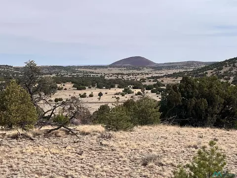 292 Lot 47 Cimarron Dr, Quemado, NM 87829