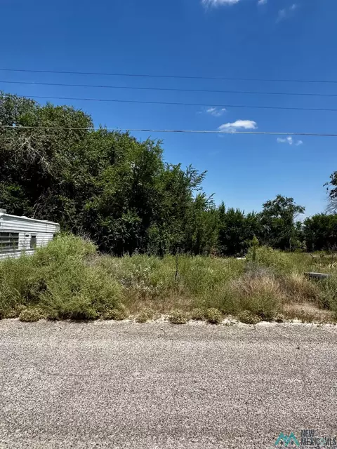 29 E Phoenix Rd, Dexter, NM 88230