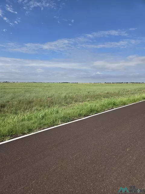 Tract 11 Cr I Road, Clovis, NM 88101