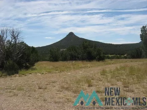 3 Acres Tract B 2 B, Serafina, NM 87569