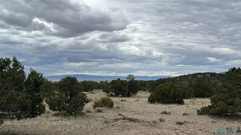Other - 87 Deer Trail Rd, Datil, NM 87821 photo 23 of 28