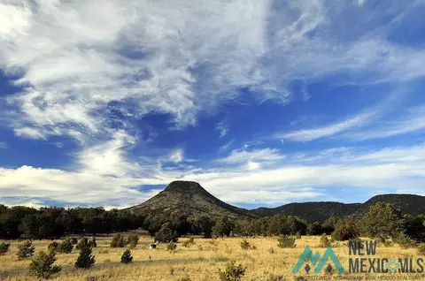 Other - 87 Deer Trail Rd, Datil, NM 87821 photo 22 of 28