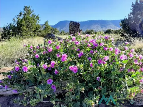 Other - 87 Deer Trail Rd, Datil, NM 87821 photo 16 of 28