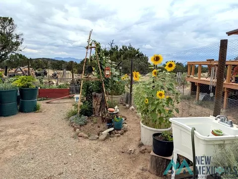 Exterior - 87 Deer Trail Rd, Datil, NM 87821 photo 13 of 19