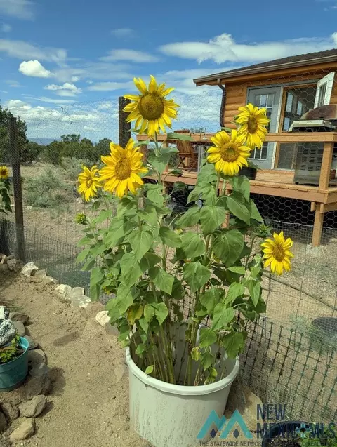 Other - 87 Deer Trail Rd, Datil, NM 87821 photo 12 of 28